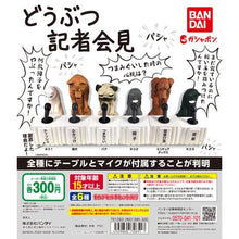 Load image into Gallery viewer, New box knowledge 🌟New arrivals in February🌟 Ready-made version of Bandai Gashapon Animals Press Conference Press Conference Apology Shiba Inu Shoji Vandalism Wallpaper Mi Gao Feng Mi Mike Asks the Sin and Bows and Apologizes Dog