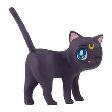Load image into Gallery viewer, New box information 🌟 New arrivals in June 🌟 Ready-made version of BANDAI Gacha HUGCOT 2 Sailor Moon The Movie Cable Decoration Part.2 Luna Luna
