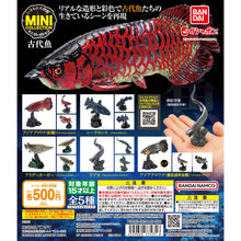 Load image into Gallery viewer, New box information 🌟New arrivals in October🌟 Ready-made version of BANDAI gashapon large illustration series ancient fish coelacanth
