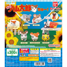 画像をギャラリービューアに読み込む, 新BOX情報🌟12月新入荷🌟 既製品 新品 バンダイ ガシャポン ハム太郎 ハムスター デコデータ ケーブル保護 小メガネ