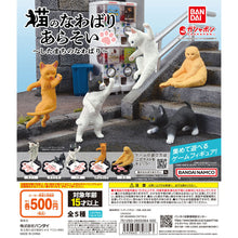 Load image into Gallery viewer, New box information 🌟New arrivals in February🌟 Ready-made brand new gashapon cat’s territory battle set of 5 cats