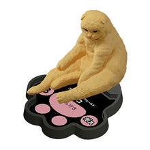 Load image into Gallery viewer, New box information 🌟New arrivals in February🌟 Ready-made brand new gashapon cat’s territory battle set of 5 cats