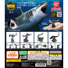 Load image into Gallery viewer, New box information🌟New arrivals in April🌟 Brand new gashapon Bandai shark illustration mini collection dotted bamboo shark