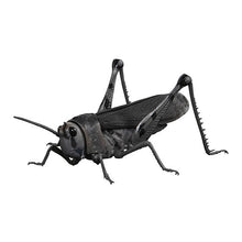 画像をギャラリービューアに読み込む, 新ボックス情報 🌟6月新入荷🌟 The Diversity of Life on Earth Advance トミカミノバッタ 大図説 バッタ風シリーズ(4種1セット)