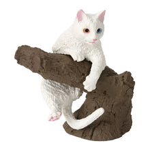 將圖片載入圖庫檢視器 新箱識 🌟8月新貨🌟 BANDAI 行版 扭蛋 大圖鑑系列指上系列 貓咪 日本猫(白猫)