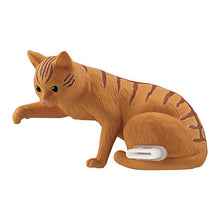 將圖片載入圖庫檢視器 新箱識 🌟8月新貨🌟 扭蛋 全新 現貨 Bandai 貓咪手機防塵塞 荼色貓