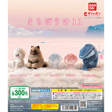 画像をギャラリービューアに読み込む, 新箱識 🌟 12月新貨🌟 BANDAI 全新 扭蛋 動物等待系列11 比熊犬 比熊狗