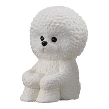 画像をギャラリービューアに読み込む, 新箱識 🌟 12月新貨🌟 BANDAI 全新 扭蛋 動物等待系列11 比熊犬 比熊狗