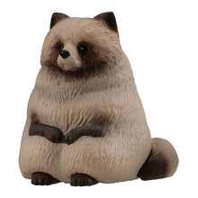 將圖片載入圖庫檢視器 新箱識 🌟 12月新貨🌟 BANDAI 全新 扭蛋 動物等待系列11 日本狸