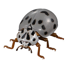 將圖片載入圖庫檢視器 🟢特價清貨🟢 新箱識 🌟3月新貨🌟 現貨 行版 Bandai 扭蛋 動物大圖鑑 瓢蟲02 一套5款 七星瓢蟲 黑點瓢蟲 雲紋瓢蟲 灰星瓢蟲 大瓢蟲 ❗ 此貨品不設退換❗