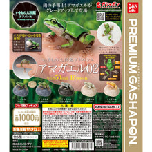 Load image into Gallery viewer, 新箱識 🌟5月新貨🌟 現貨 行版 扭蛋 BANDAI 動物大圖鑑 樹蛙02 東北雨蛙 白化 一套5款 ❗扭蛋/密封式盒裝貨品/特價貨品-不設退換❗