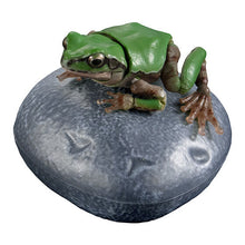 Load image into Gallery viewer, 新箱識 🌟5月新貨🌟 現貨 行版 扭蛋 BANDAI 動物大圖鑑 樹蛙02 東北雨蛙 白化 一套5款 ❗扭蛋/密封式盒裝貨品/特價貨品-不設退換❗