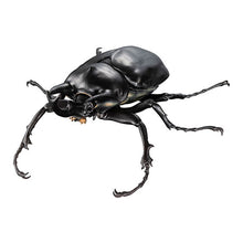 画像をギャラリービューアに読み込む, 新箱識 🌟 8月新貨🌟 現貨 行版 全新 扭蛋 BANDAI 動物大圖鑑象兜蟲屬與長戟大兜蟲 一套4款