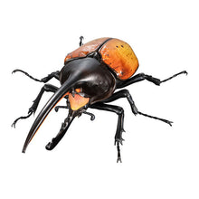 画像をギャラリービューアに読み込む, 新箱識 🌟 8月新貨🌟 現貨 行版 全新 扭蛋 BANDAI 動物大圖鑑象兜蟲屬與長戟大兜蟲 一套4款