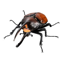 画像をギャラリービューアに読み込む, 新箱識 🌟 8月新貨🌟 現貨 行版 全新 扭蛋 BANDAI 動物大圖鑑象兜蟲屬與長戟大兜蟲 一套4款