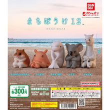 Cargar imagen en el visor de la galería, 新箱識 🌟 9月新貨🌟 現貨 行版 扭蛋 BANDAI 動物等待系列12 敘利亞倉鼠 倉鼠 扁面蛸 白鯨 無尾熊 羊駝 一套5款