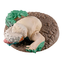 Cargar imagen en el visor de la galería, 新箱識 🌟9月新貨🌟 現貨 行版 全新 BANDAI 扭蛋 魔物獵人 一起捕獲4 一套4款 缠蛙 護闢獸 煌雷龍 赫猿獸