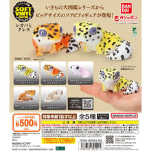 將圖片載入圖庫檢視器 新箱識 🌟10月新貨🌟 現貨 扭蛋 行版 BANDAI 生物大圖鑑 軟膠收藏 豹紋守宮&睫角守宮 一套5款
