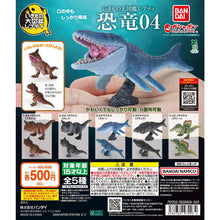 Load image into Gallery viewer, 新箱識 🌟2月新貨🌟 現貨 行版 BANDAI 扭蛋 生物大圖鑑 恐龍 4 一套5款