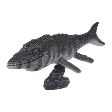 Load image into Gallery viewer, 新箱識 🌟2月新貨🌟 現貨 行版 BANDAI 扭蛋 生物大圖鑑 恐龍 4 一套5款