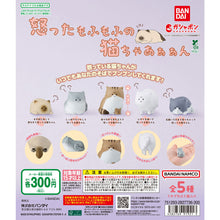 Load image into Gallery viewer, 新箱識 🌟3月新貨🌟 現貨 行版 扭蛋 BANDAI 生氣的小貓公仔 一套5款 憤怒的毛茸茸貓咪