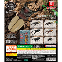 Load image into Gallery viewer, 新箱識 🌟6月新貨🌟 現貨 行版 全新 扭蛋 BANDAI 生物大圖鑑 爬蟲類公仔02 一套6款 昆蟲