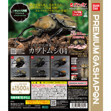 Cargar imagen en el visor de la galería, 【新箱識】【7月新貨】【現貨】【行版】【扭蛋】BANDAI 生物大圖鑑 甲蟲04 一套3款 昆蟲