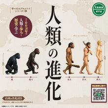 画像をギャラリービューアに読み込む, 新ボックス情報🌟 12月新入荷🌟 日本語版TAMA KYU Human Evolution 5種セット