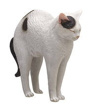 画像をギャラリービューアに読み込む, 新箱識 日版 Kitan Club 扭蛋 Art In The Pocket AIP 森口修之貓 玩具 貓 B