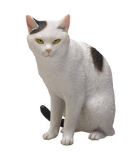 画像をギャラリービューアに読み込む, 新箱識 日版 Kitan Club 扭蛋 Art In The Pocket AIP 森口修之貓 玩具 貓 C