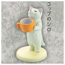 Load image into Gallery viewer, New box information🌟New arrivals in November🌟Orange Cup-White Cat Spot Japanese Version Gashapon Cat Carved Begging for Food Bottle and Water Cup