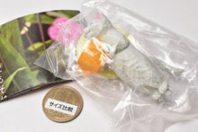 Load image into Gallery viewer, New box information🌟New arrivals in November🌟Orange Cup-White Cat Spot Japanese Version Gashapon Cat Carved Begging for Food Bottle and Water Cup