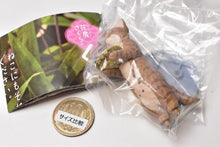 画像をギャラリービューアに読み込む, 新ボックス情報🌟11月新入荷🌟 ゴールドプレート トラ縞猫スポット 日本語版ガシャポン おねだり猫彫刻 エサボトル ウォーターカップ