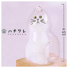 Cargar imagen en el visor de la galería, 新箱識 🌟11月新貨🌟 現貨 行版 扭蛋 Bright Link 貓毛收納! 透明貓貓 1套6款 貓毛樽