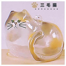 Cargar imagen en el visor de la galería, 新箱識 🌟11月新貨🌟 現貨 行版 扭蛋 Bright Link 貓毛收納! 透明貓貓 1套6款 貓毛樽