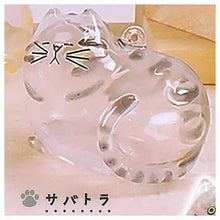 Cargar imagen en el visor de la galería, 新箱識 🌟11月新貨🌟 現貨 行版 扭蛋 Bright Link 貓毛收納! 透明貓貓 1套6款 貓毛樽