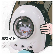 Load image into Gallery viewer, 新箱識 🌟7月新貨🌟 現貨 日版 扭蛋 J.Dream 迷你寵物背包展示袋吊飾 一套5款