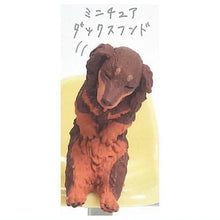 將圖片載入圖庫檢視器 新箱識 🌟8月新貨🌟 現貨 日版 扭蛋 YELL 狗狗肩並肩睡著了 一套5款 貴婦狗 臘腸狗 科克爾犬 科克爾狗 聖伯納犬 柴犬