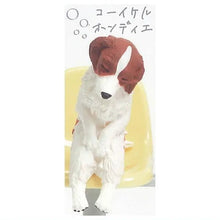 將圖片載入圖庫檢視器 新箱識 🌟8月新貨🌟 現貨 日版 扭蛋 YELL 狗狗肩並肩睡著了 一套5款 貴婦狗 臘腸狗 科克爾犬 科克爾狗 聖伯納犬 柴犬