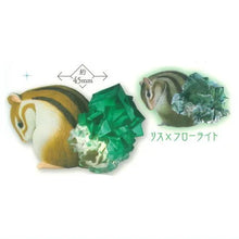 將圖片載入圖庫檢視器 新箱識 🌟 11月新貨🌟 現貨 行版 Stasto Stand Stones 扭蛋 生物寶石3 全套5款 海洋生物 虎鯨 水母 松鼠 大龜 鸚鵡