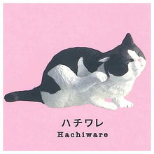 画像をギャラリービューアに読み込む, 【新箱識】【7月新貨】【現貨】【行版】【扭蛋】stasto痕癢動物 貓篇 一套5款