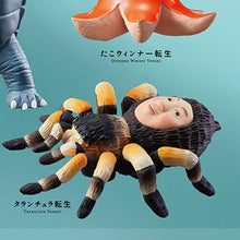 Load image into Gallery viewer, 新箱識 🌟10月新貨🌟 現貨 行版 扭蛋 Stasto Stand Stones 超自然生態顏轉生扭蛋 一套5款 龜 麻雀 腸仔 小丸子 蜘蛛網