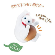 画像をギャラリービューアに読み込む, 新しいボックスの現在のバージョンのバンダイ ガチャを確認してください。これはジャコウネコではありませんか? !猫