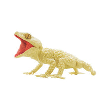 画像をギャラリービューアに読み込む, 新箱識 日版 SO TA 扭蛋 AMYAE & LIZARD 守宮 蜥蝪 白化 1:1 1/1 白化圓圈 白化 守宮