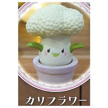 將圖片載入圖庫檢視器 新箱識 🌟5月新貨🌟 現貨 日版 扭蛋 StandStones 曼德拉草造型公仔 P2 2 曼德拉草 植物 一套7款