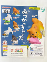 Cargar imagen en el visor de la galería, 新箱識 🌟10月新貨🌟  現貨 日版 扭蛋 汪惹被發現啦 全6種 扭蛋 轉蛋 Tarlin 柴犬 狗 動物 公仔