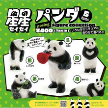 Cargar imagen en el visor de la galería, 新箱識 🌟7月新貨🌟 現貨 日版 扭蛋 KENELEPHANT 星星大熊貓 Figure Collection (全5種) 熊貓