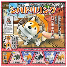 Load image into Gallery viewer, 新箱識 🌟8月新貨🌟現貨 日版 扭蛋 SO-TA - シバドリリング (搖頭犬) 柴犬 狗 可愛 QQ 轉頭 灰色 芝士