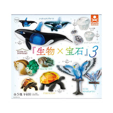 將圖片載入圖庫檢視器 新箱識 🌟 11月新貨🌟 現貨 行版 Stasto Stand Stones 扭蛋 生物寶石3 全套5款 海洋生物 虎鯨 水母 松鼠 大龜 鸚鵡