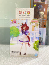 Load image into Gallery viewer, New box knowledge 🌟New goods in February🌟 Ready-made items, excellent quality of horse racing girls